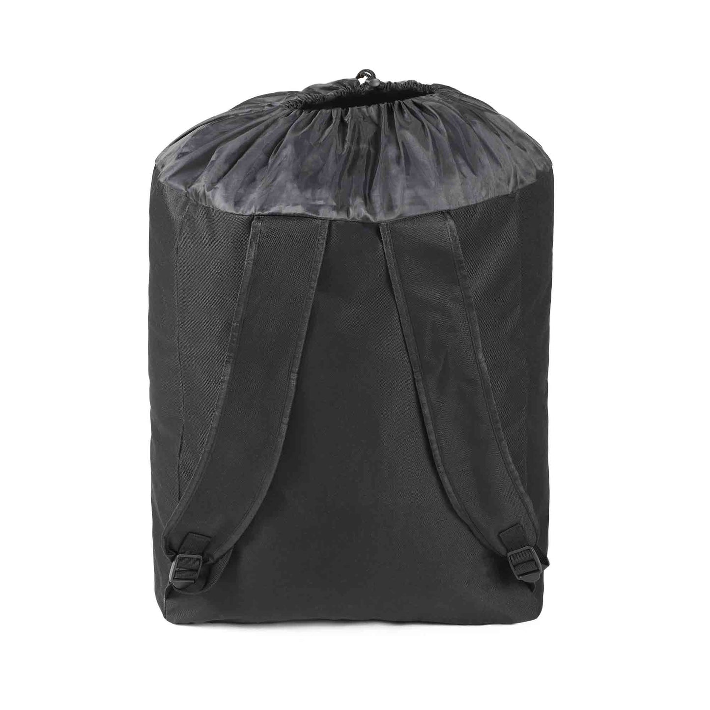 Aries/Pisces/Globe Carry Bag