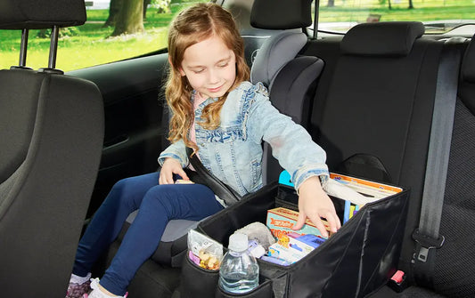 Car Journeys with Children