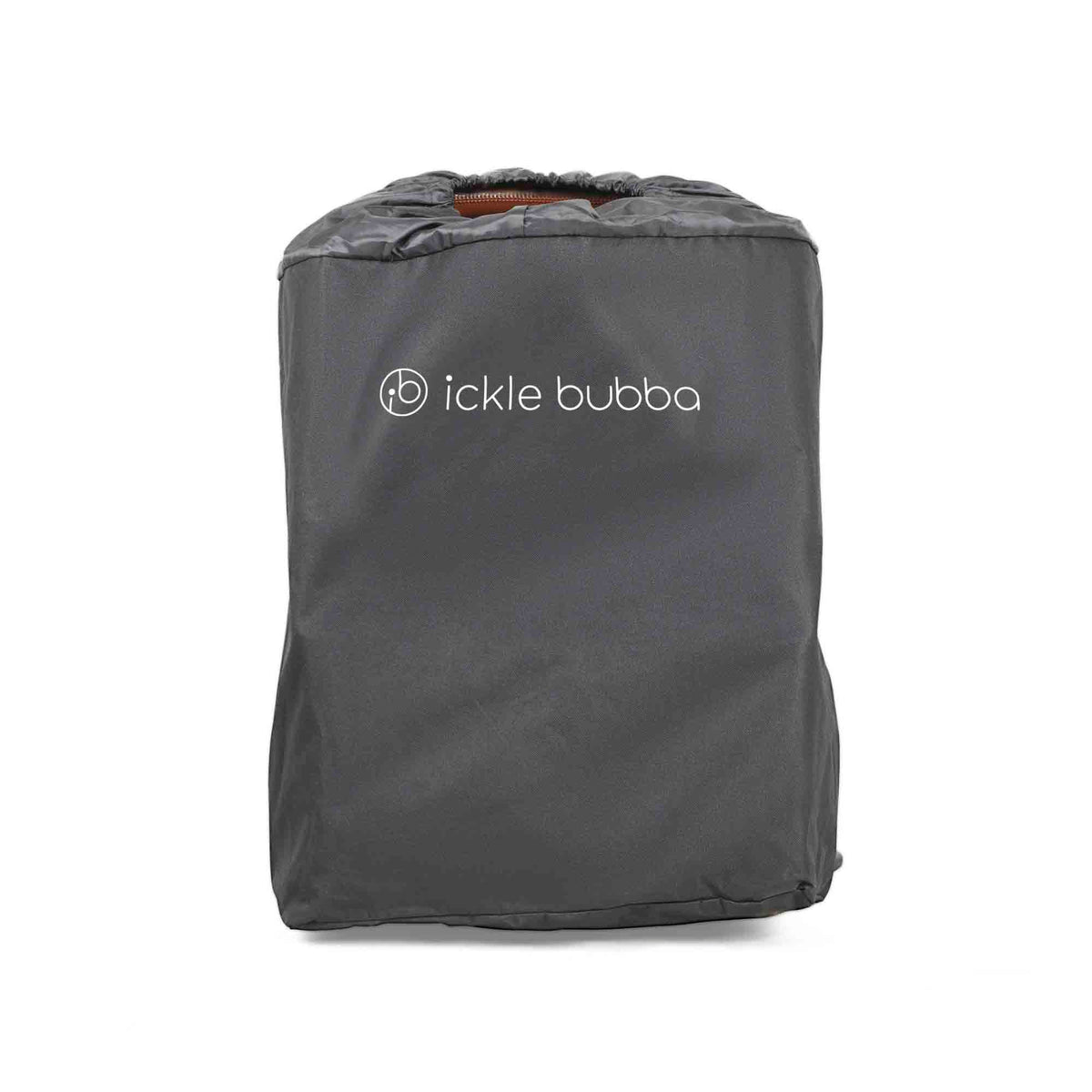 Aries Pisces Globe Carry Bag